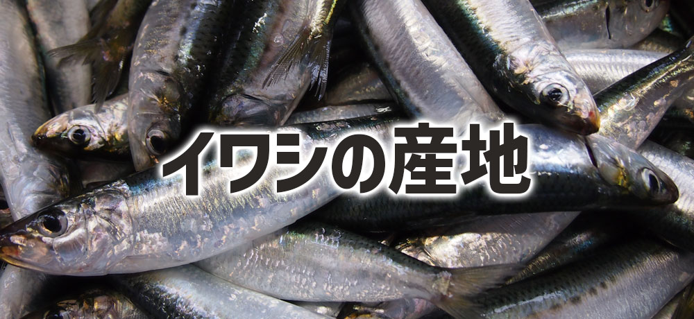 イワシの主な産地