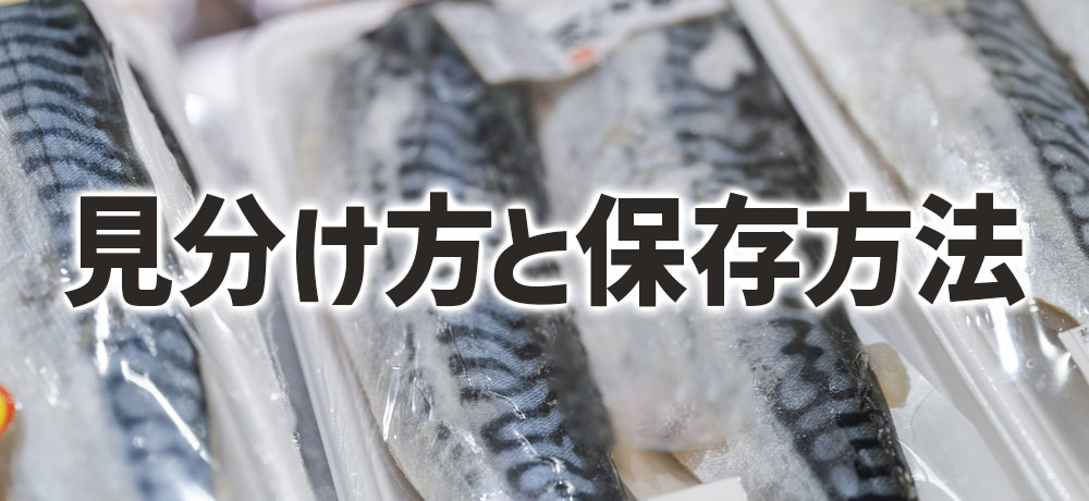 新鮮なサバの見分け方と保存方法