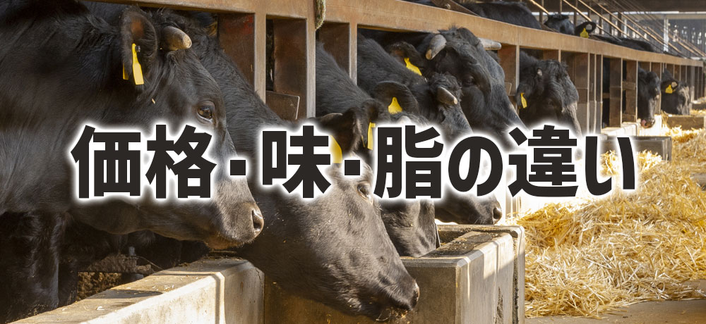 和牛の価格・味・脂の違いとは？