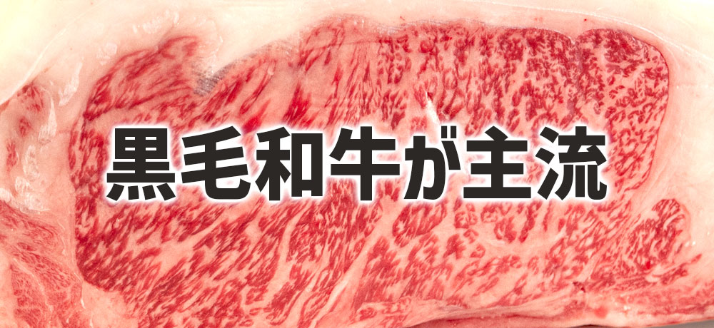 和牛4品種のなかで黒毛和牛（黒毛和種）が主流の理由とは