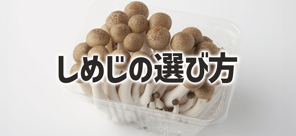 購入時に迷わない！本しめじとぶなしめじの選び方