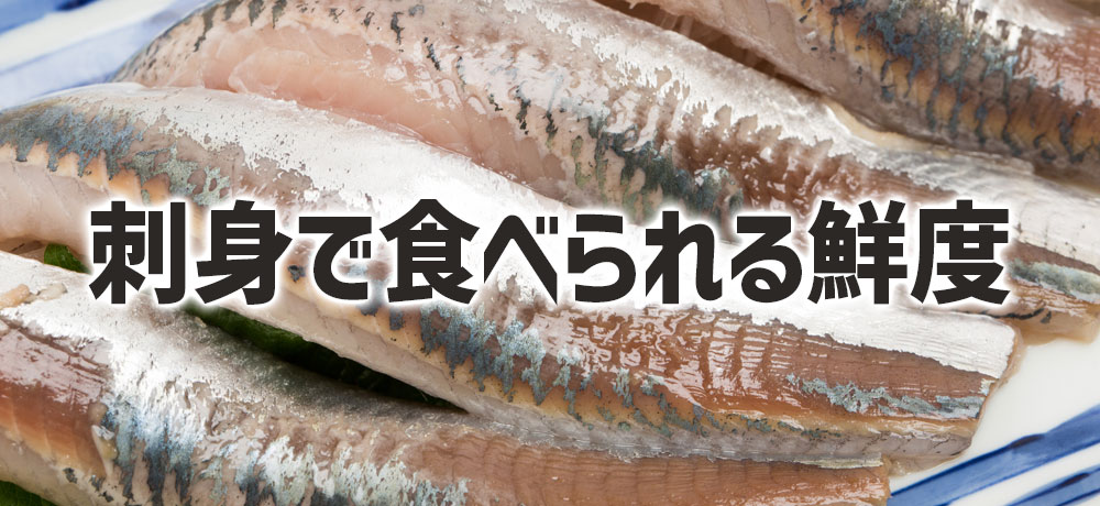 生で刺身として食べられる鮮度