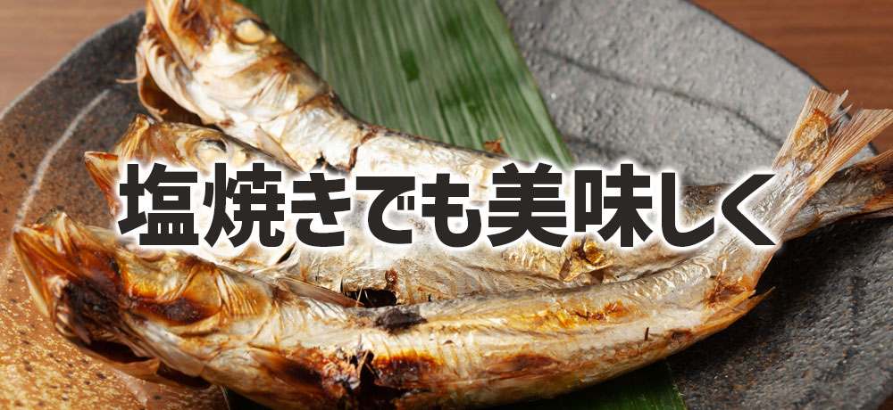 イワシの塩焼きも内臓も含めて美味しく食べられる魚
