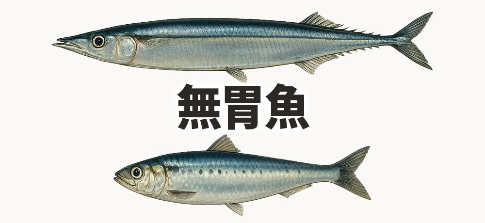 無胃魚(むいぎょ)