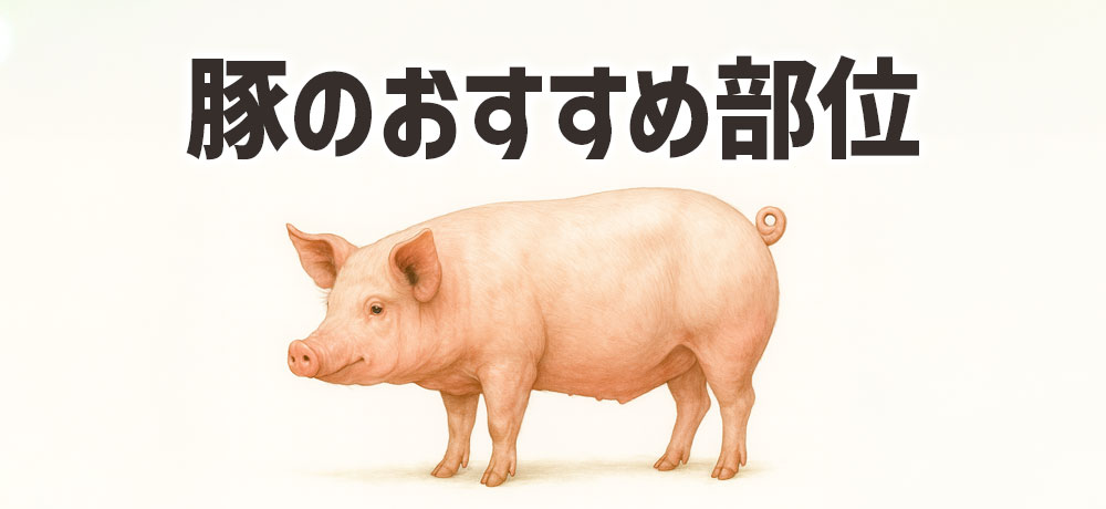 豚肉のおすすめ部位