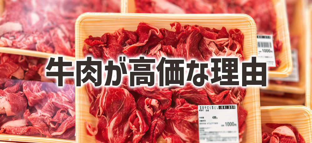 牛肉が豚肉より高価な理由