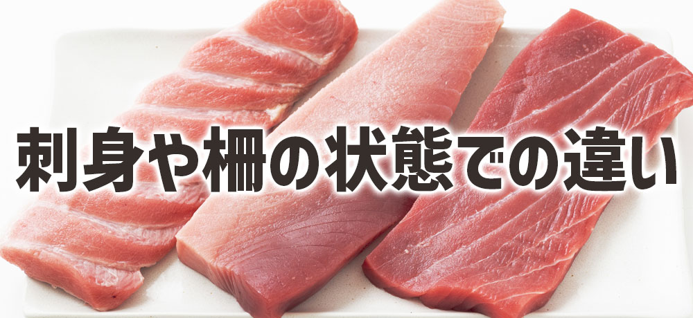 カツオとマグロの刺身や柵の状態での違い