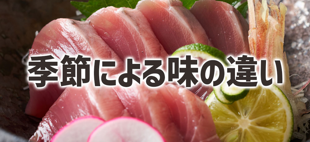「初鰹」と「戻り鰹」季節による味の違い