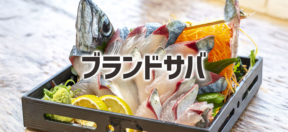 全国の注目ブランドサバの旬をチェック