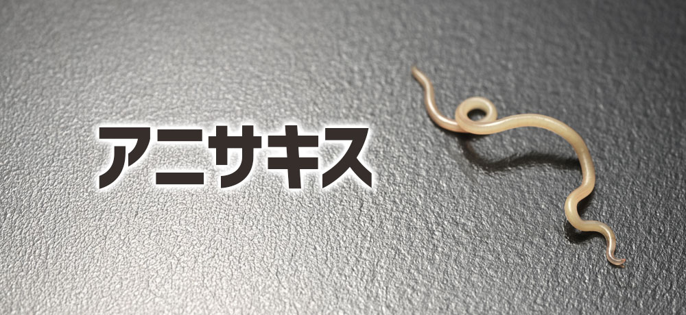 サバにアニサキスがいるって本当?