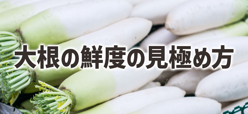 買い物前に知っておきたい!大根の鮮度の見極め方
