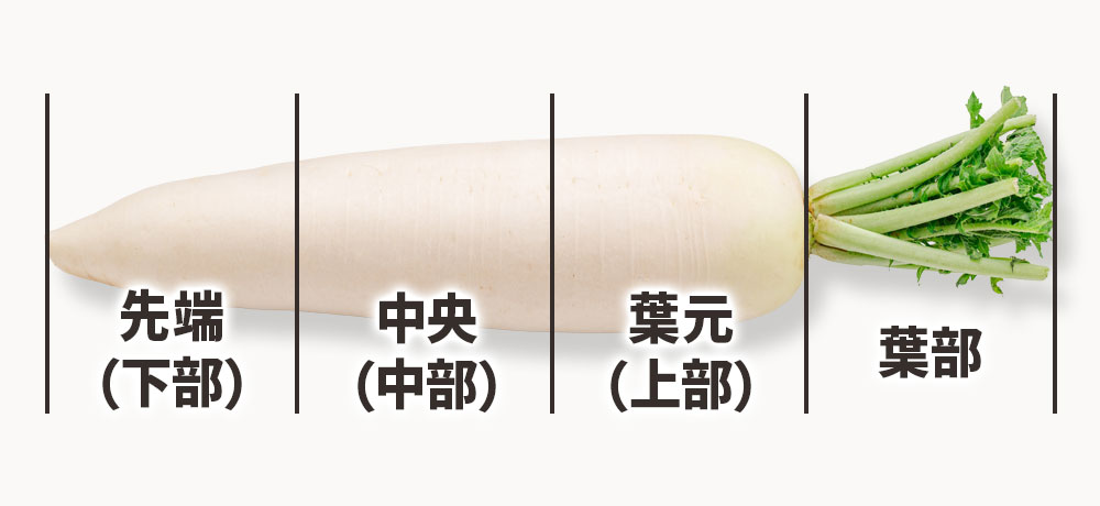 大根の部位の違いを知らないと損をする