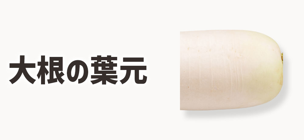 大根の葉元(上部)の特徴と味の違い