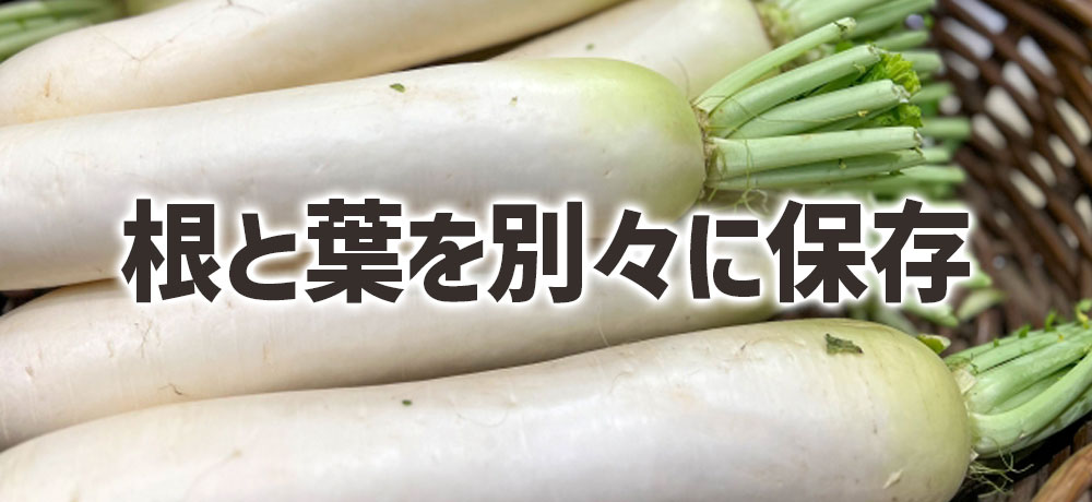 葉付き大根はすぐに切り分け!長持ちさせる下処理