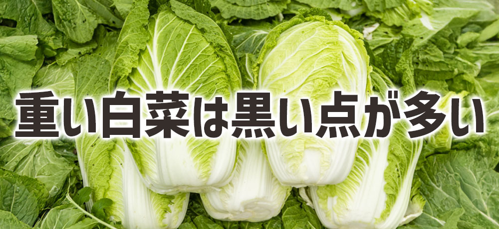 重い白菜ほど黒い点が多い理由とは