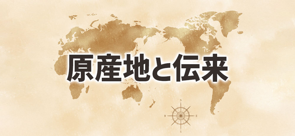ジャガイモとサツマイモの原産地と伝来