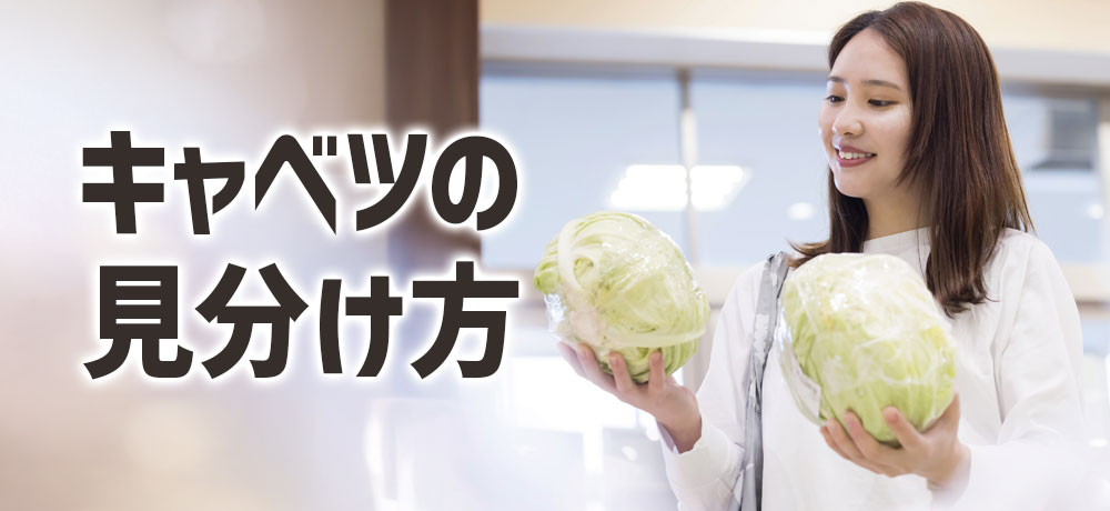 新鮮で品質がいい春キャベツと冬キャベツの見分け方