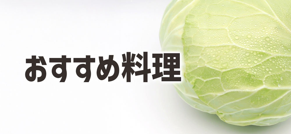春キャベツと冬キャベツのおすすめ料理