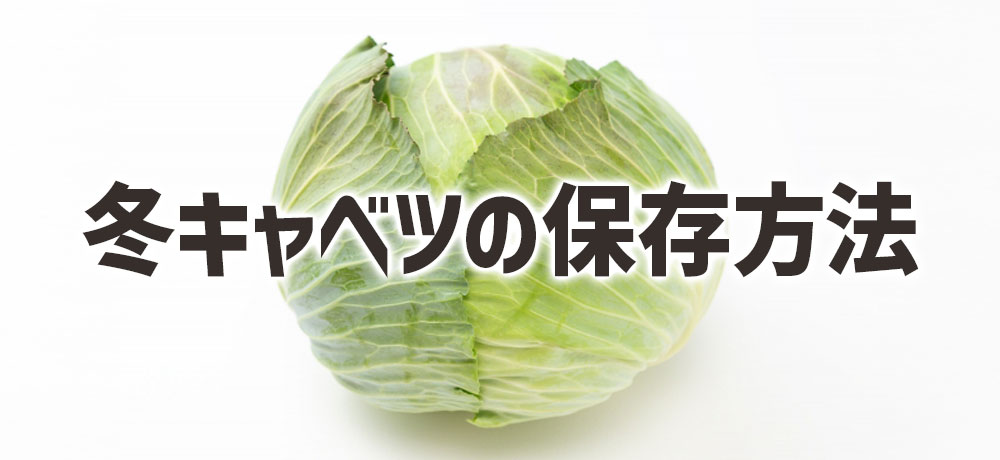 冬キャベツの保存方法のポイント