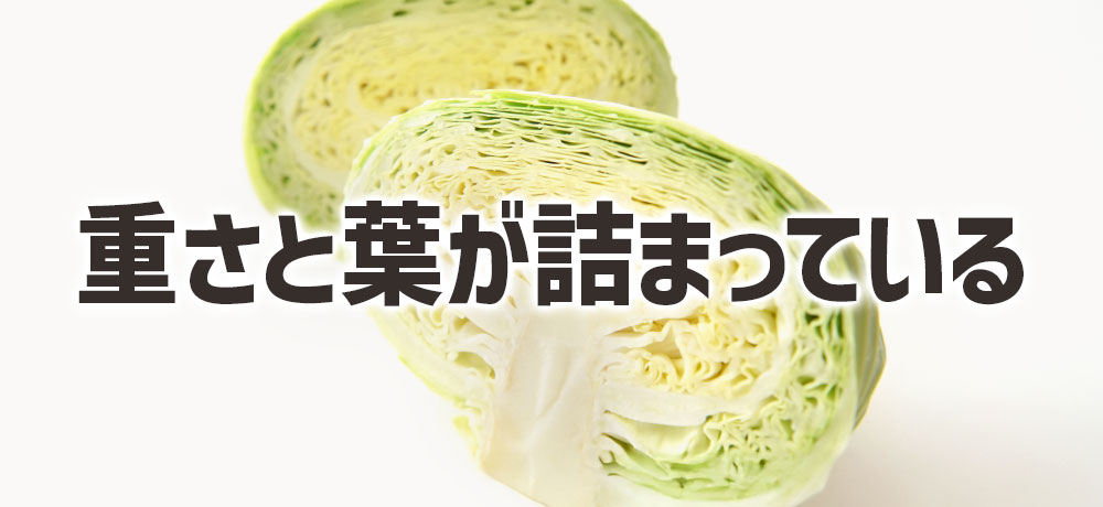 冬キャベツは“重さ・葉が詰まっている”ものを選ぶ