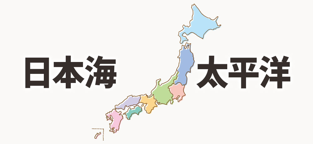 地域差があるアニサキスの種類と寄生傾向