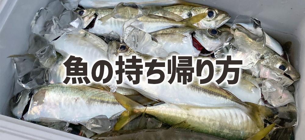釣り人は気を付けて!魚の持ち帰り方