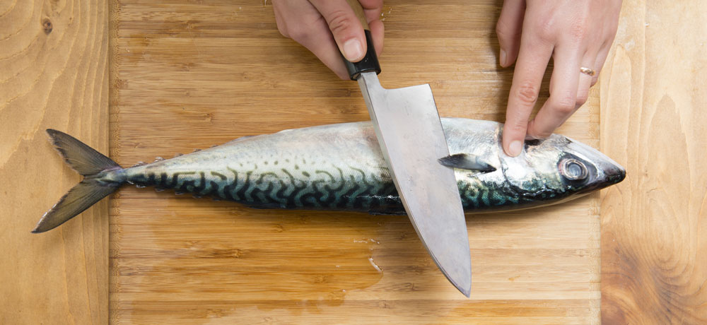 魚介類の内臓除去と目視検査のタイミング
