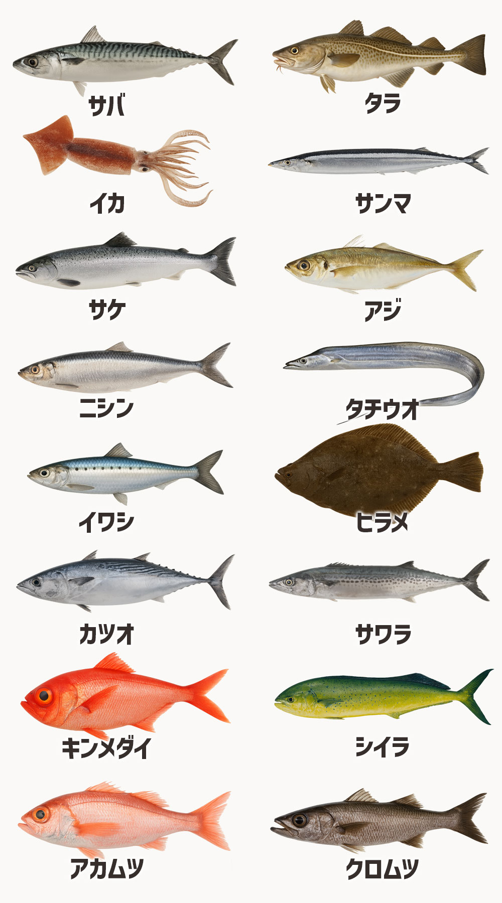 アニサキスが多く寄生している魚