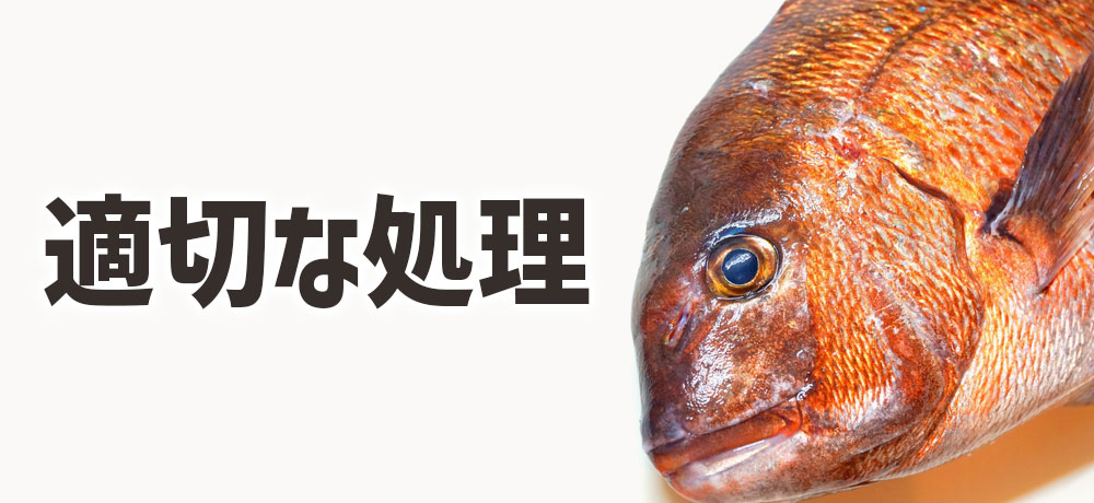 適切な処理の重要性と臭いの関係