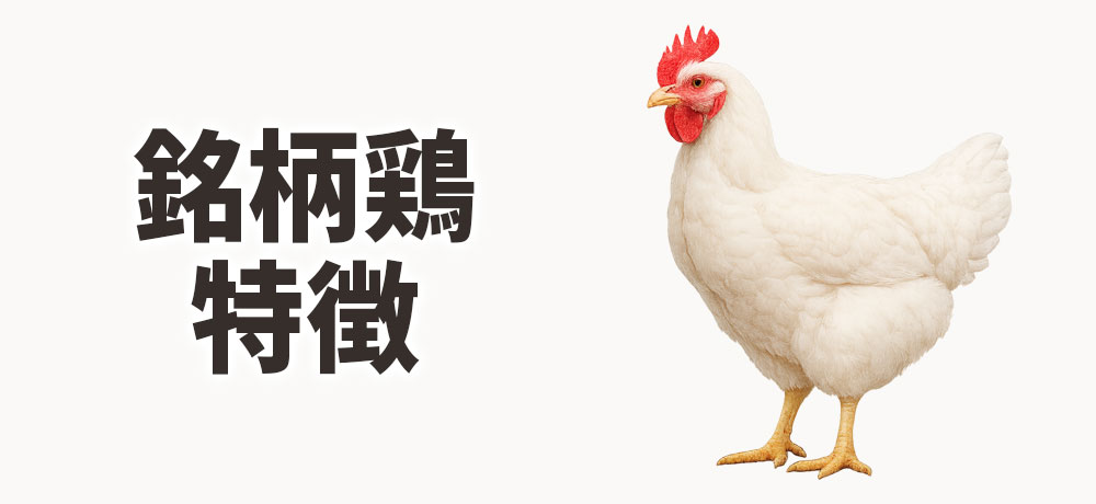 銘柄鶏の特徴と条件