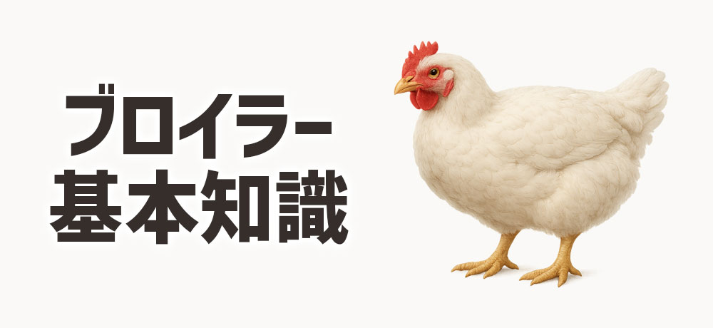ブロイラーの基本知識
