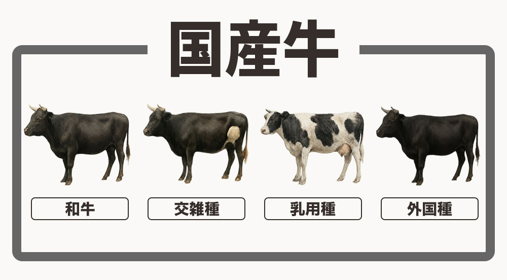 国産牛の種類と特徴