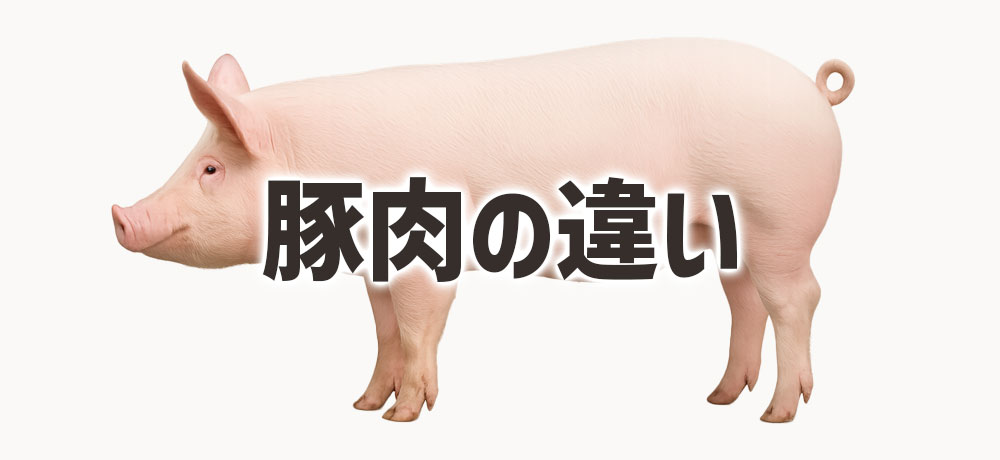 国産豚肉と輸入豚肉の違い