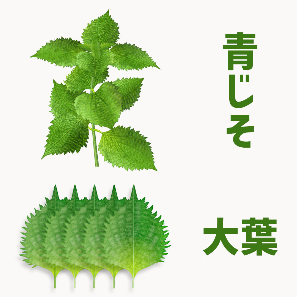 大葉は青じその「葉」のみを指す