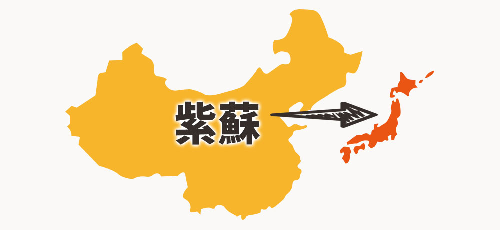 「大葉」と「しそ」の名前の由来