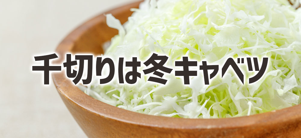 キャベツの千切りには春キャベツと冬キャベツはどっちがいい?