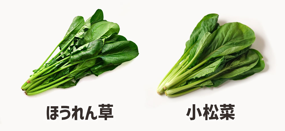 ほうれん草と小松菜の見た目の違い