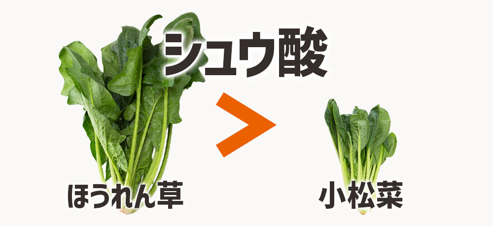 シュウ酸やアクの含有量の違い