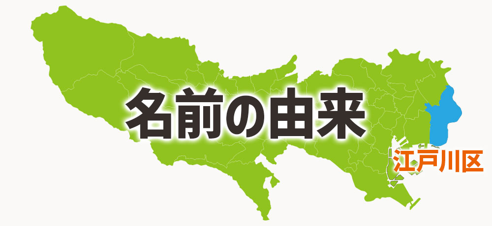 ほうれん草と小松菜の名前の由来と歴史
