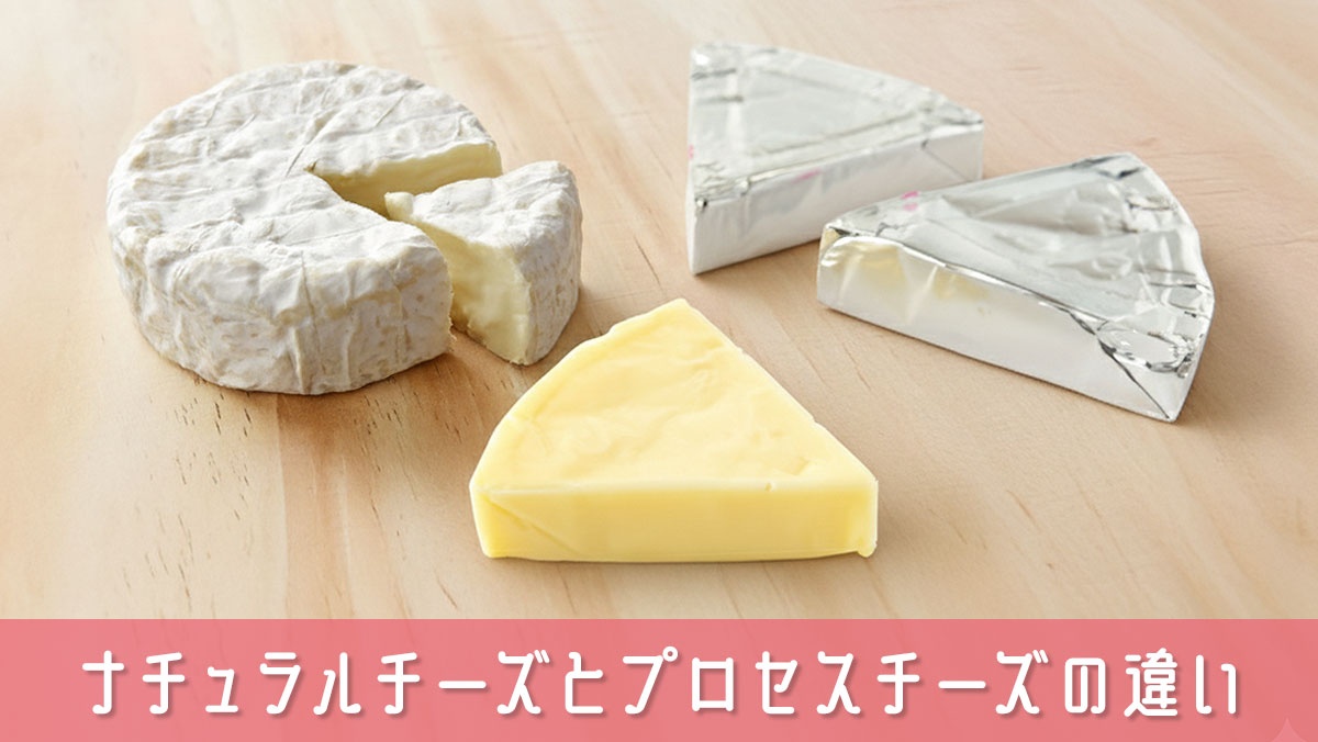 ナチュラルチーズとプロセスチーズの違いと使い分けや選び方を簡単解説