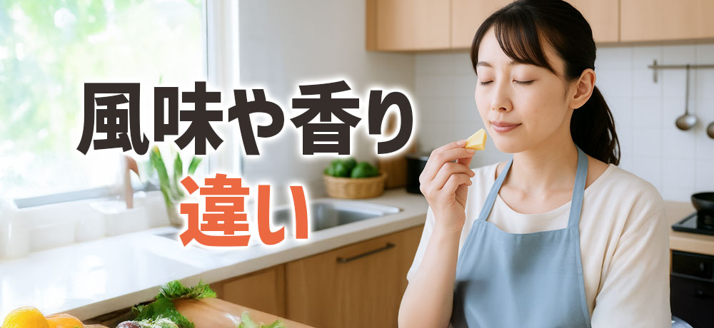 ナチュラルチーズとプロセスチーズの風味や香りの違い