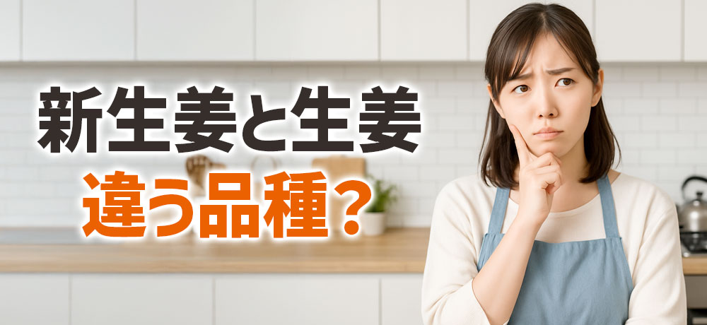 新生姜と生姜は違う品種?