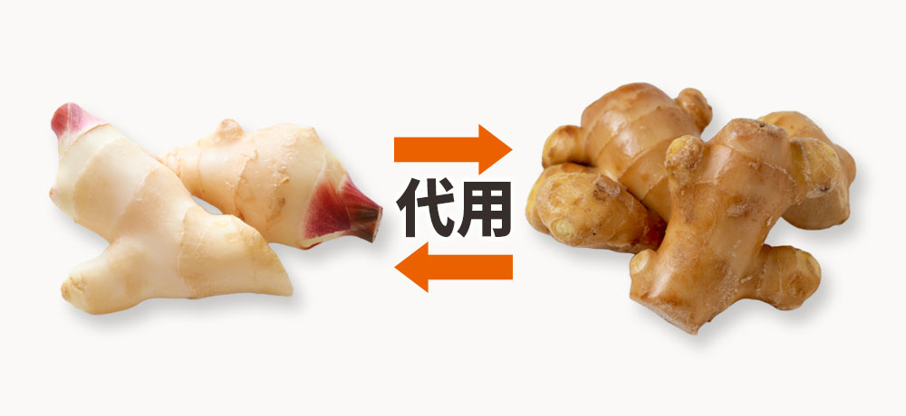 代用・置き換えは可能?注意すべき点