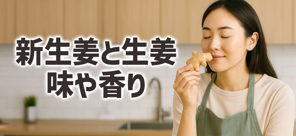 新生姜と生姜の見た目の違い