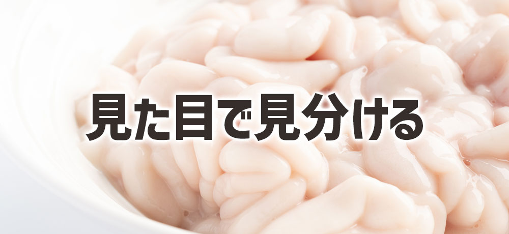 白子の見た目（色・張り・ツヤ）で見分ける
