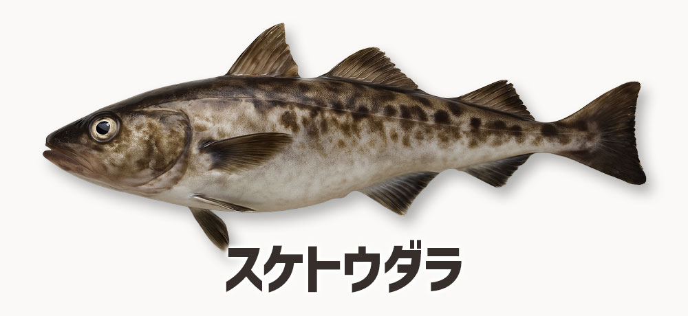 たらこと明太子はスケトウダラの卵巣