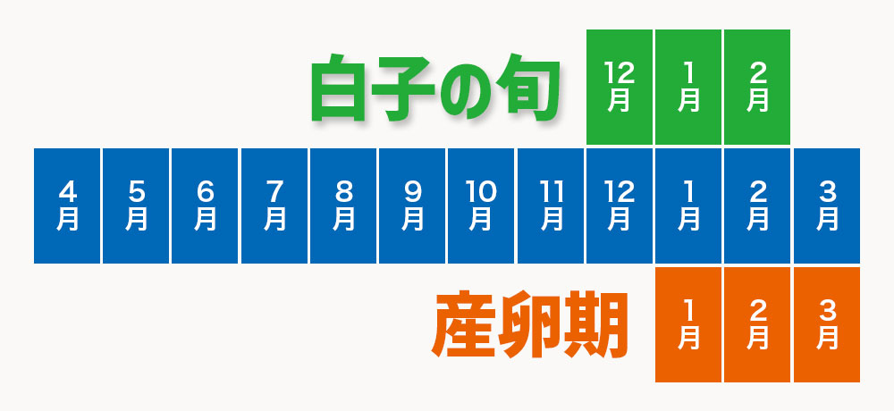 たらの白子の旬
