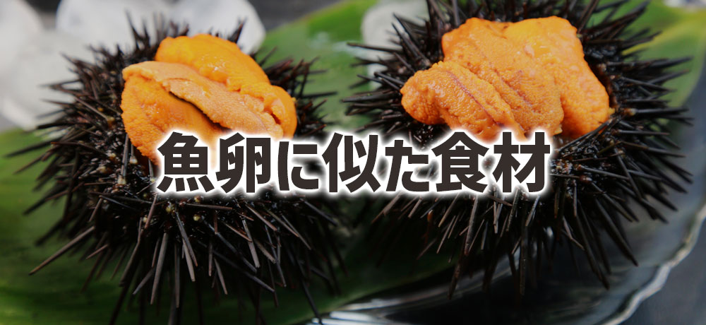 魚卵に似た食材(ウニ・白子など)