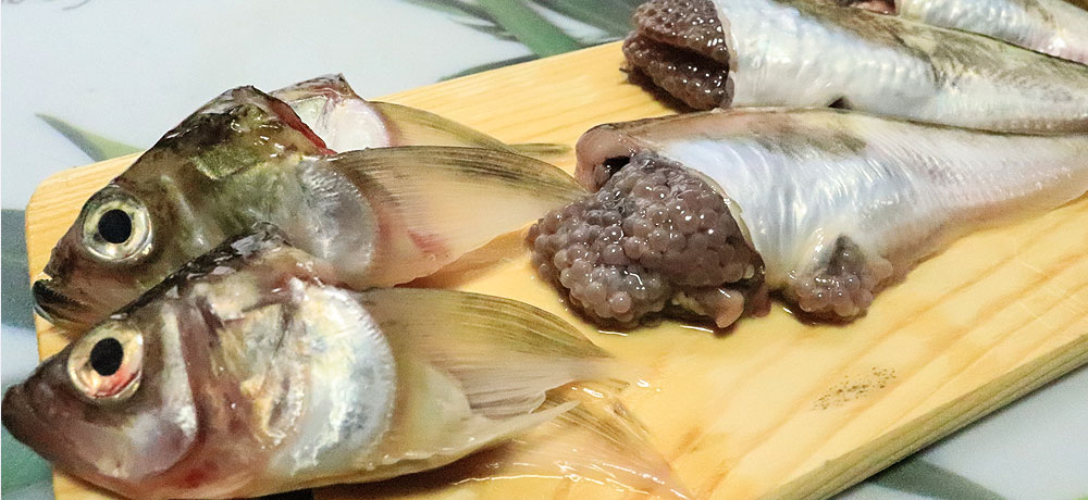 ハタハタの魚卵(ぶりこ)