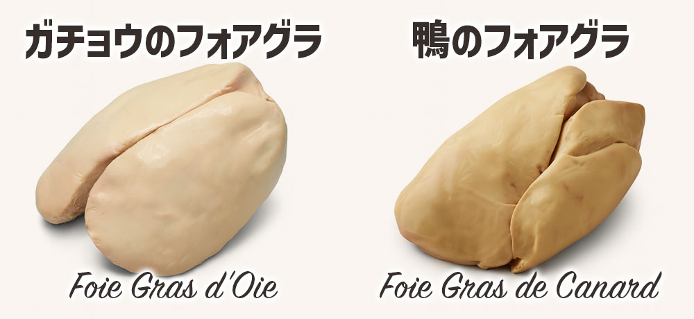 「ガチョウのフォアグラ」と「鴨のフォアグラ」